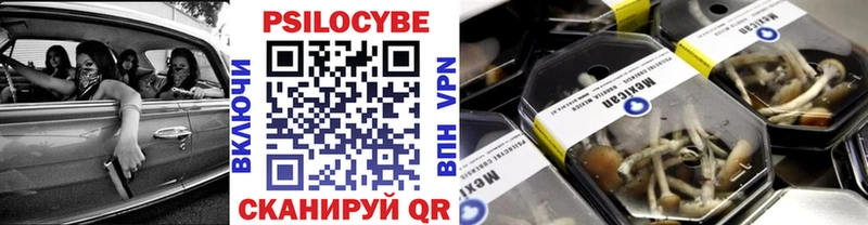 Купить где  Мичуринск  Галлюциногенные грибы мицелий 