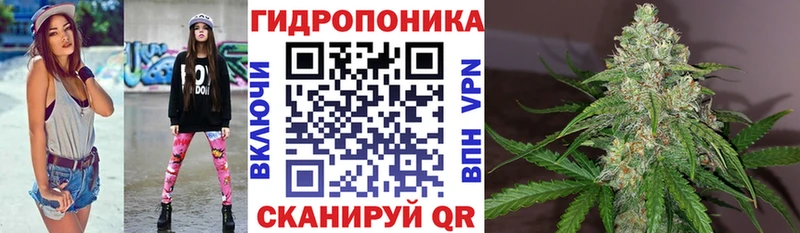Купить закладки  Мичуринск  Каннабис SATIVA & INDICA 